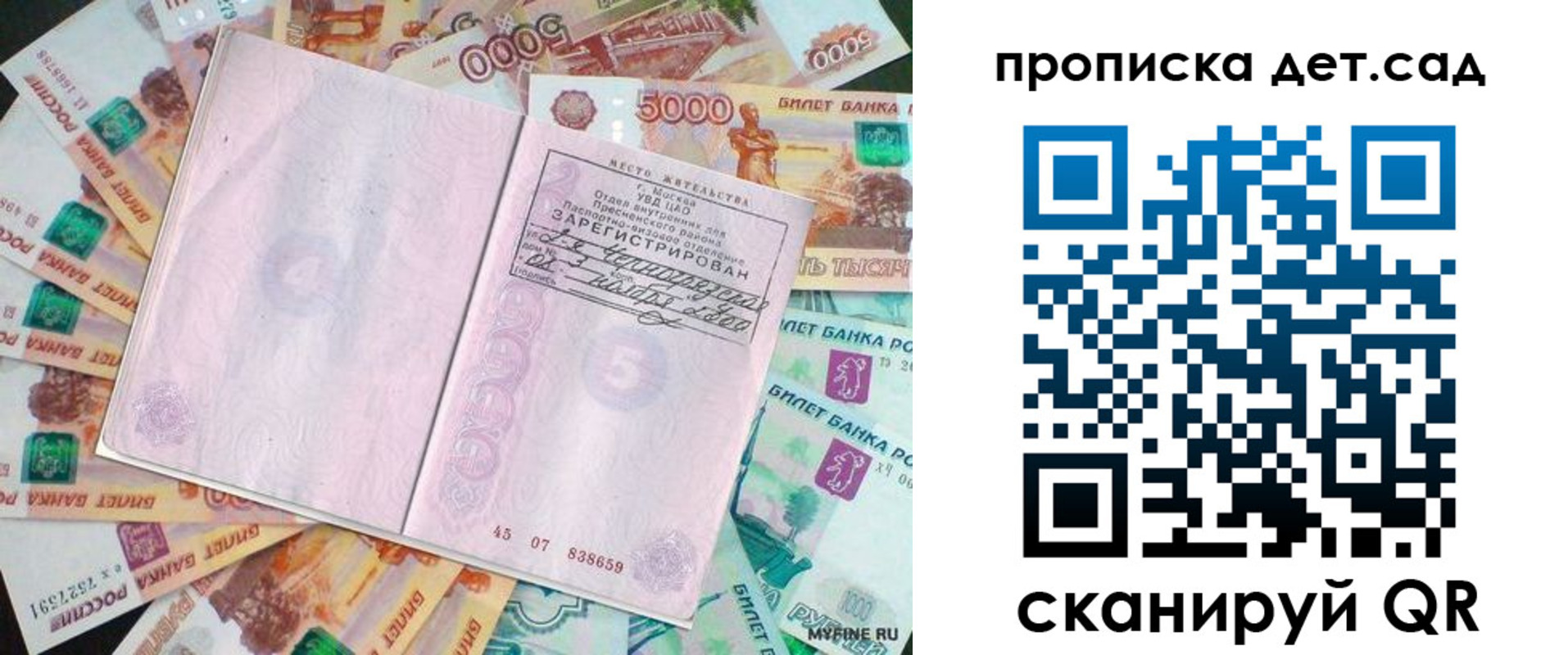 прописка поиск в Гае